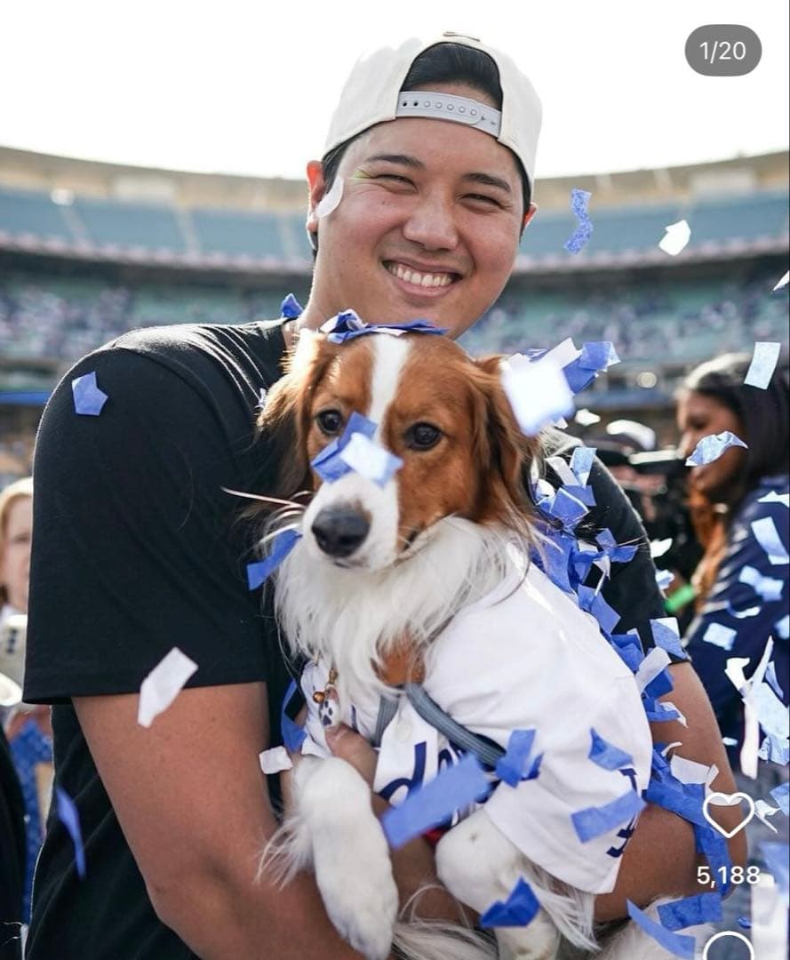 boo'oh 犬用 ハーネス Ray Harness デコピン 大谷 - メルカリ