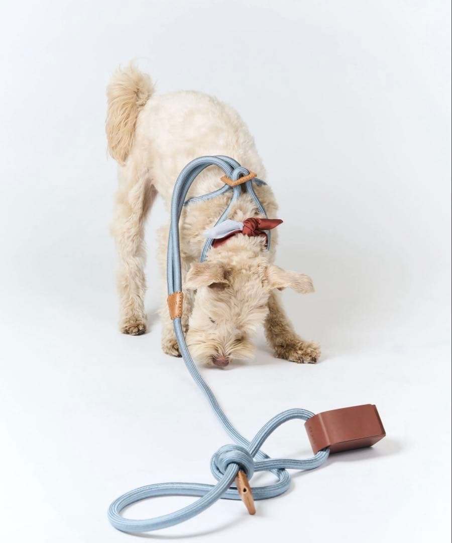 boo'oh 犬用 ハーネス Ray Harness デコピン 大谷 - メルカリ