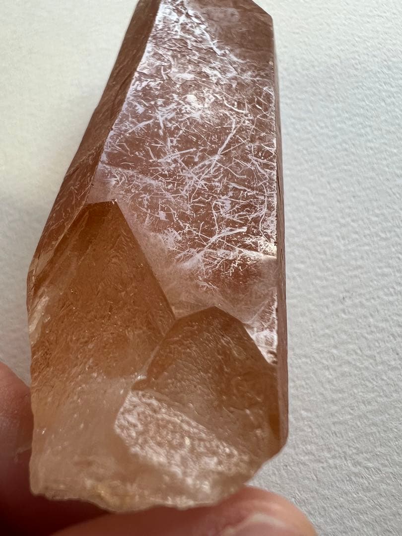 ゴールデンヒーラー(セーラデカブラル産)ゲート／スターゲートキー