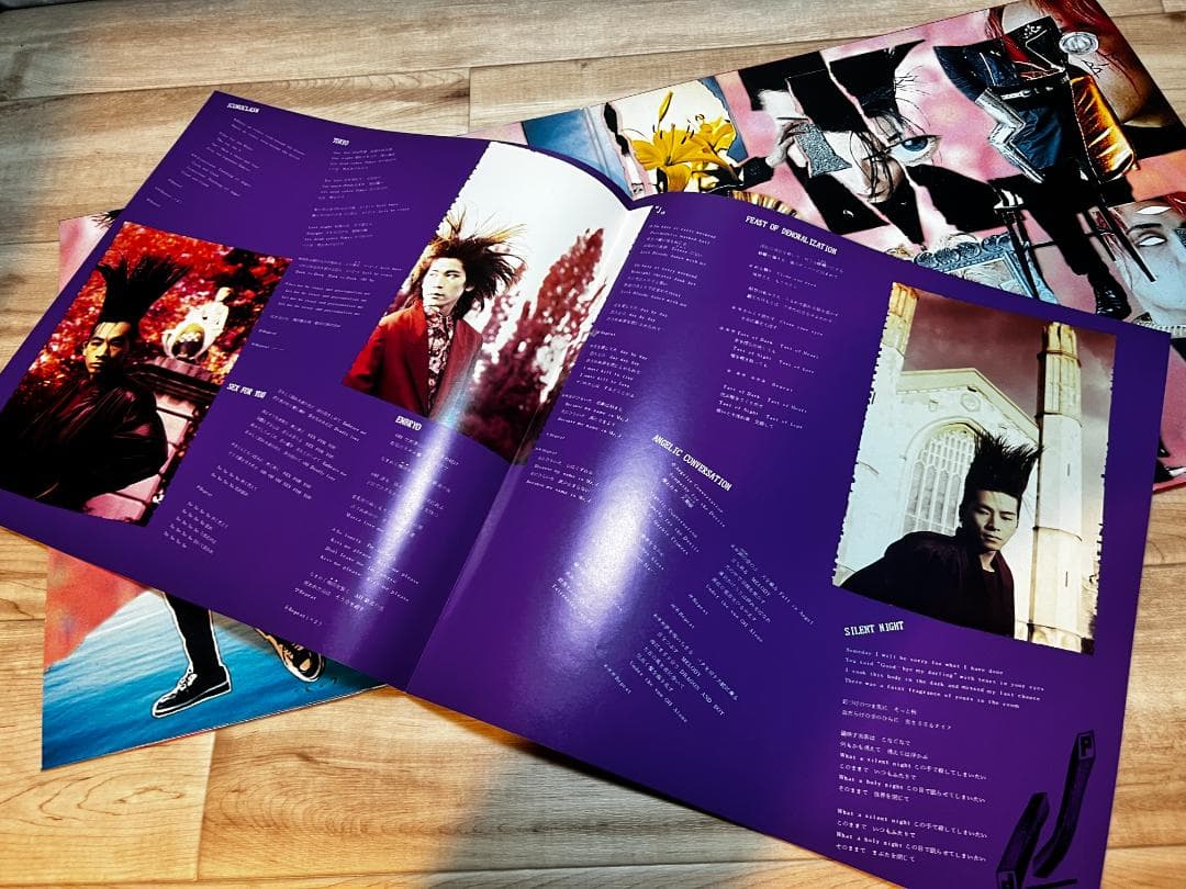 LP/レコード BUCK-TICK / TABOO （レコードピクチャー盤）