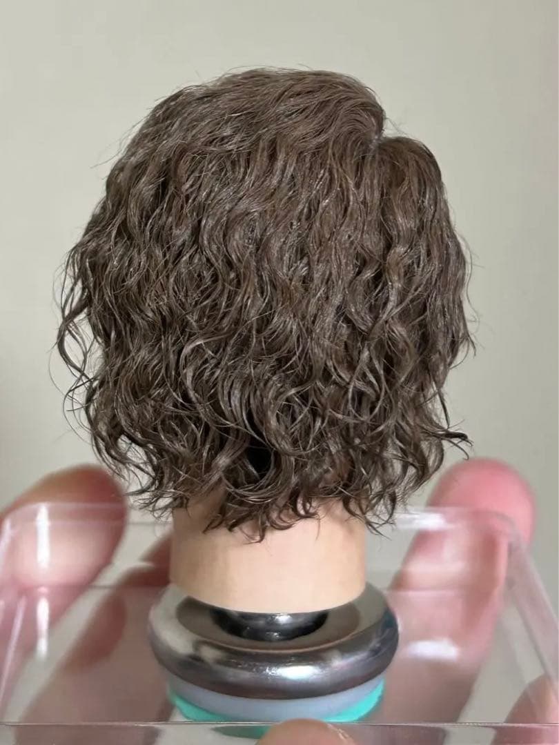 1/6 カスタム植毛ヘッド　スター・ウォーズ　アナキン スカイウォーカー