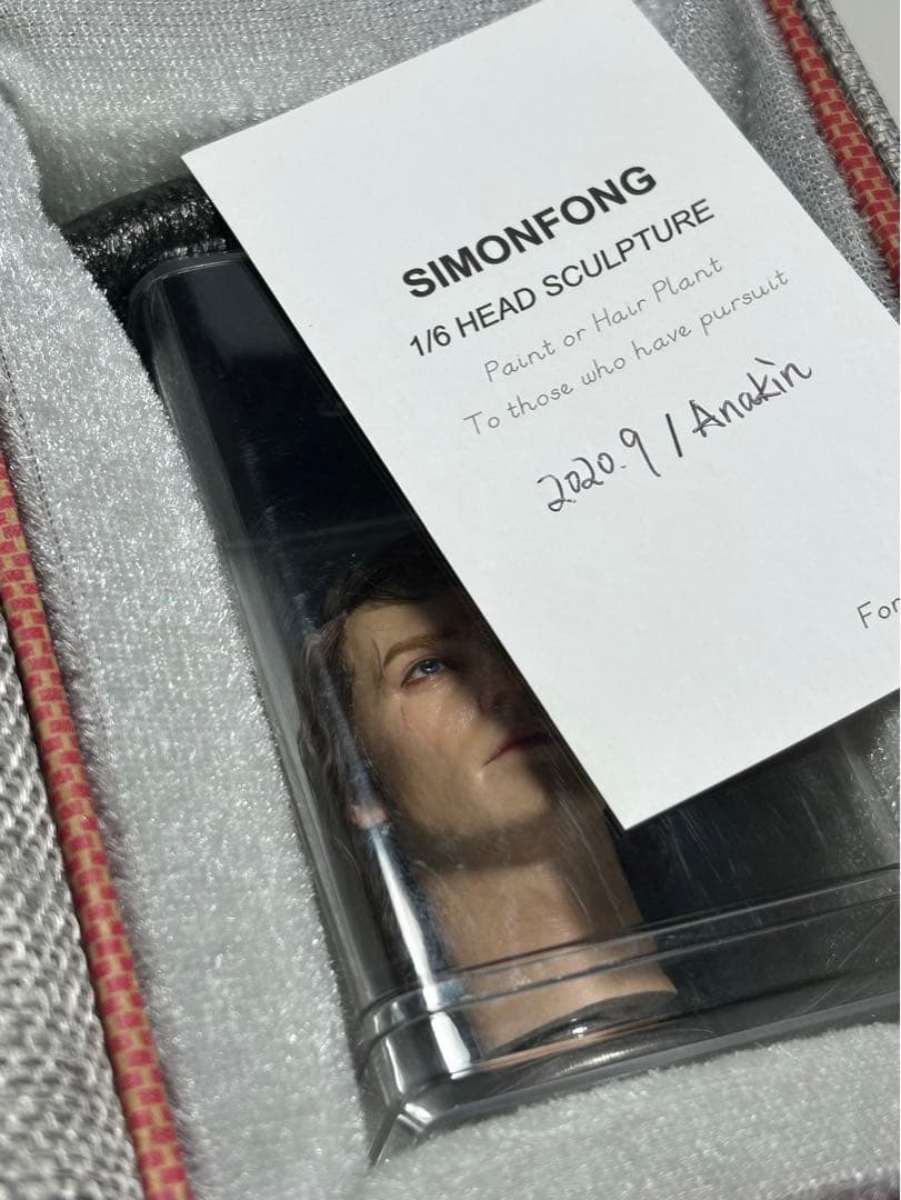 1/6 カスタム植毛ヘッド　スター・ウォーズ　アナキン スカイウォーカー