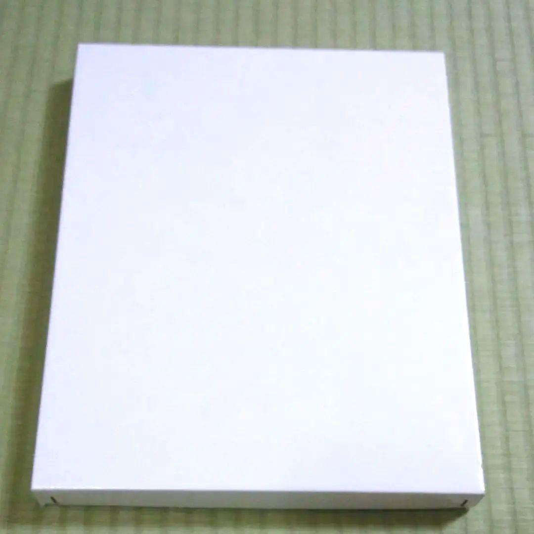 ポール・ギアマン・リトグラフ『花とヴァイオリン』