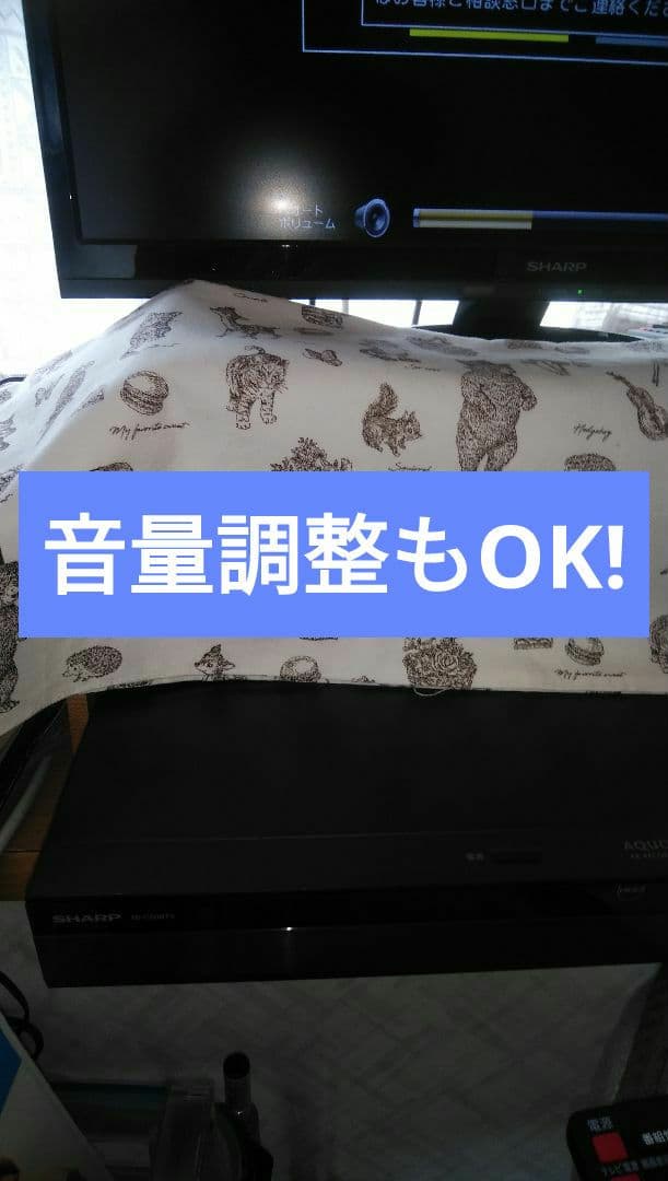 ㊟ジャンク要修理SHARPブルーレイ4B-C20BT3/2020年モデル - メルカリ