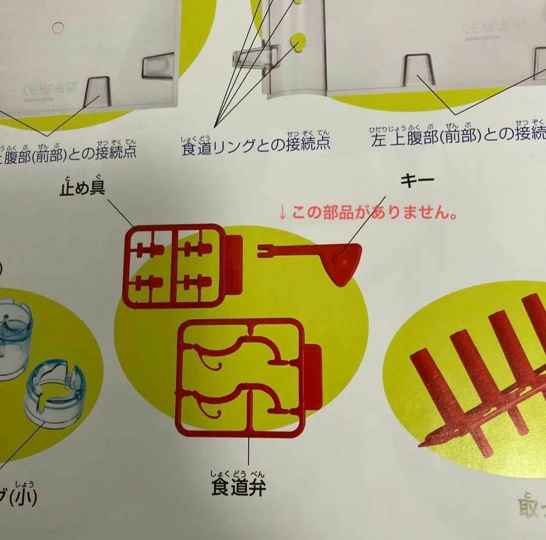 アーサーが教える体のふしぎ 1~ 80巻セット人体模型 - メルカリ