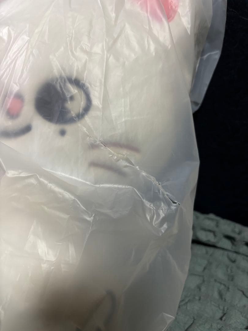 SKZOO PLUSH BAG Jiniret ジニレットStrayKids