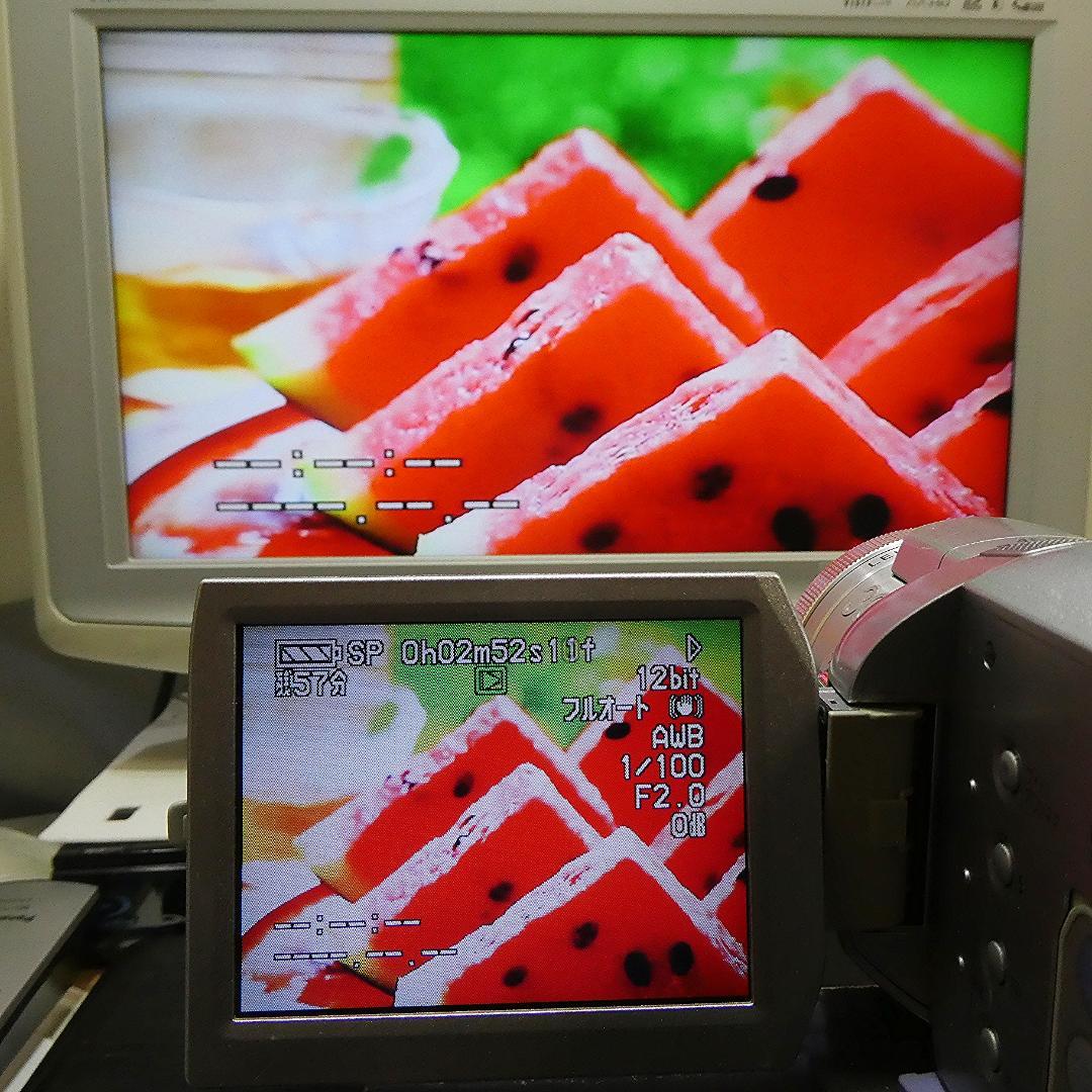 動作良好 パナソニック NV-GS400 MiniDVビデオDVDダビングに最適