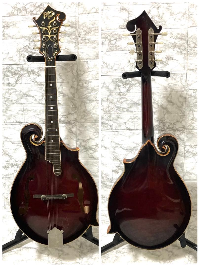 希少】BlueBell フラットマンドリン 高級 F-15 小坂部氏サインあり