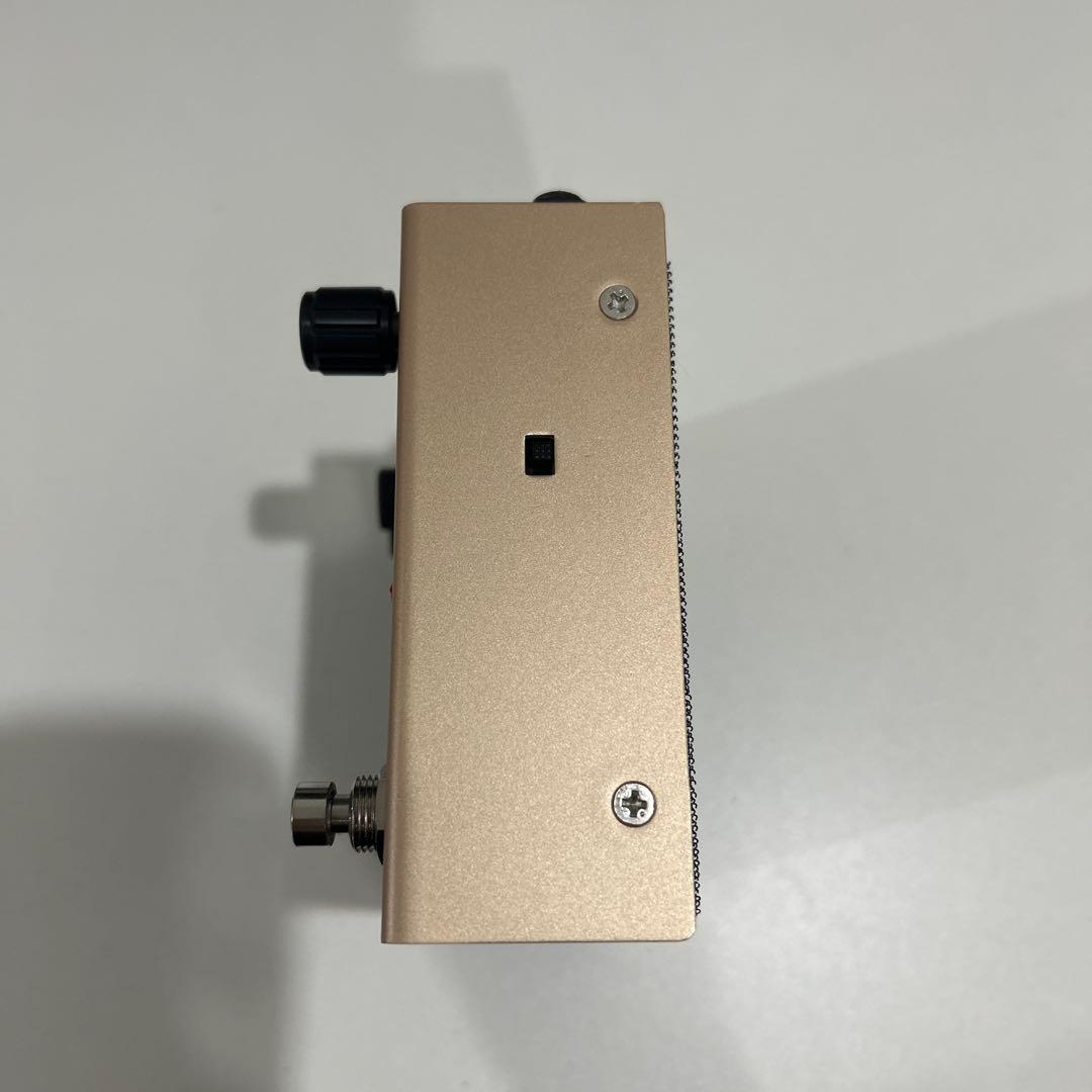 ギター free the tone FF-1Y