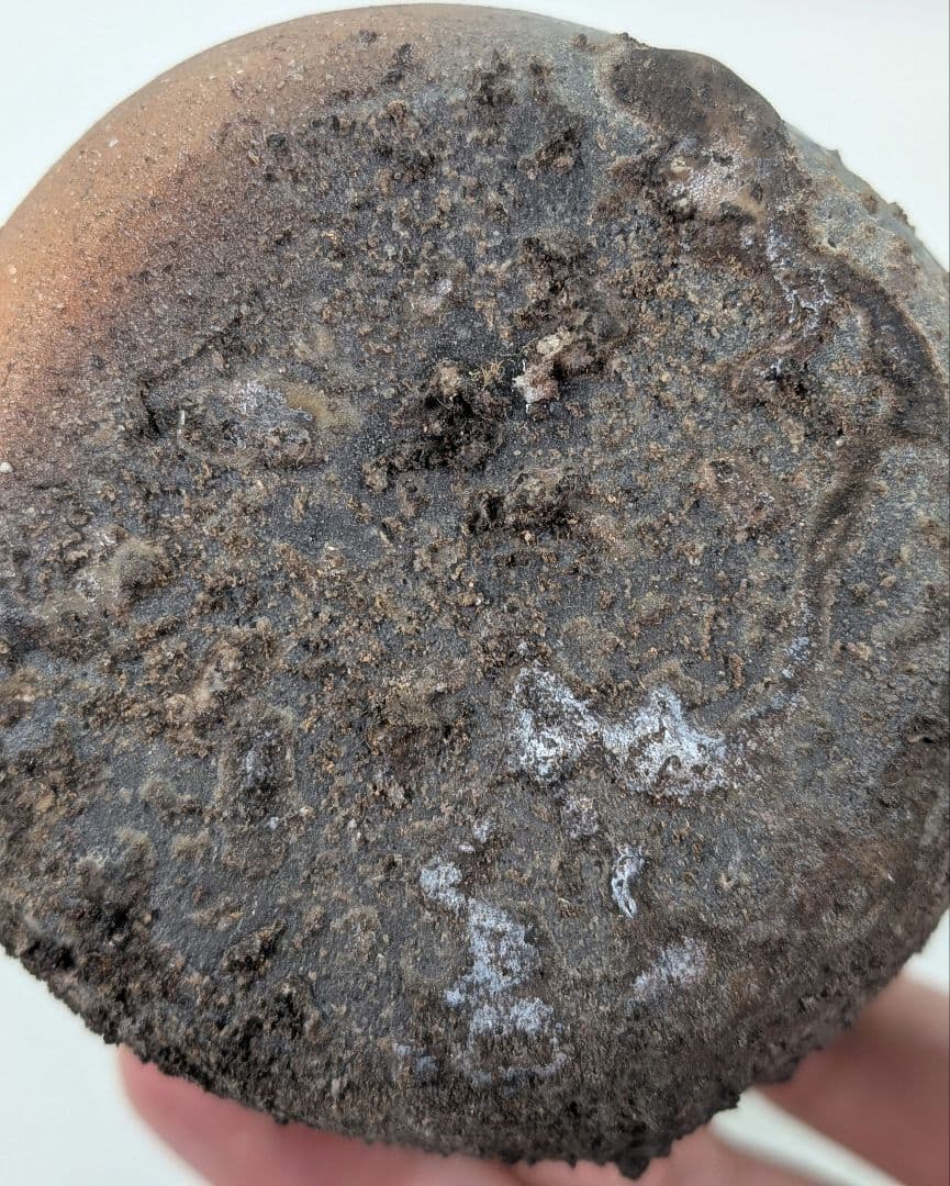 難波正己 備前焼 窯変徳利 共箱栞 酒器 食器 とっくり 一輪挿し花入