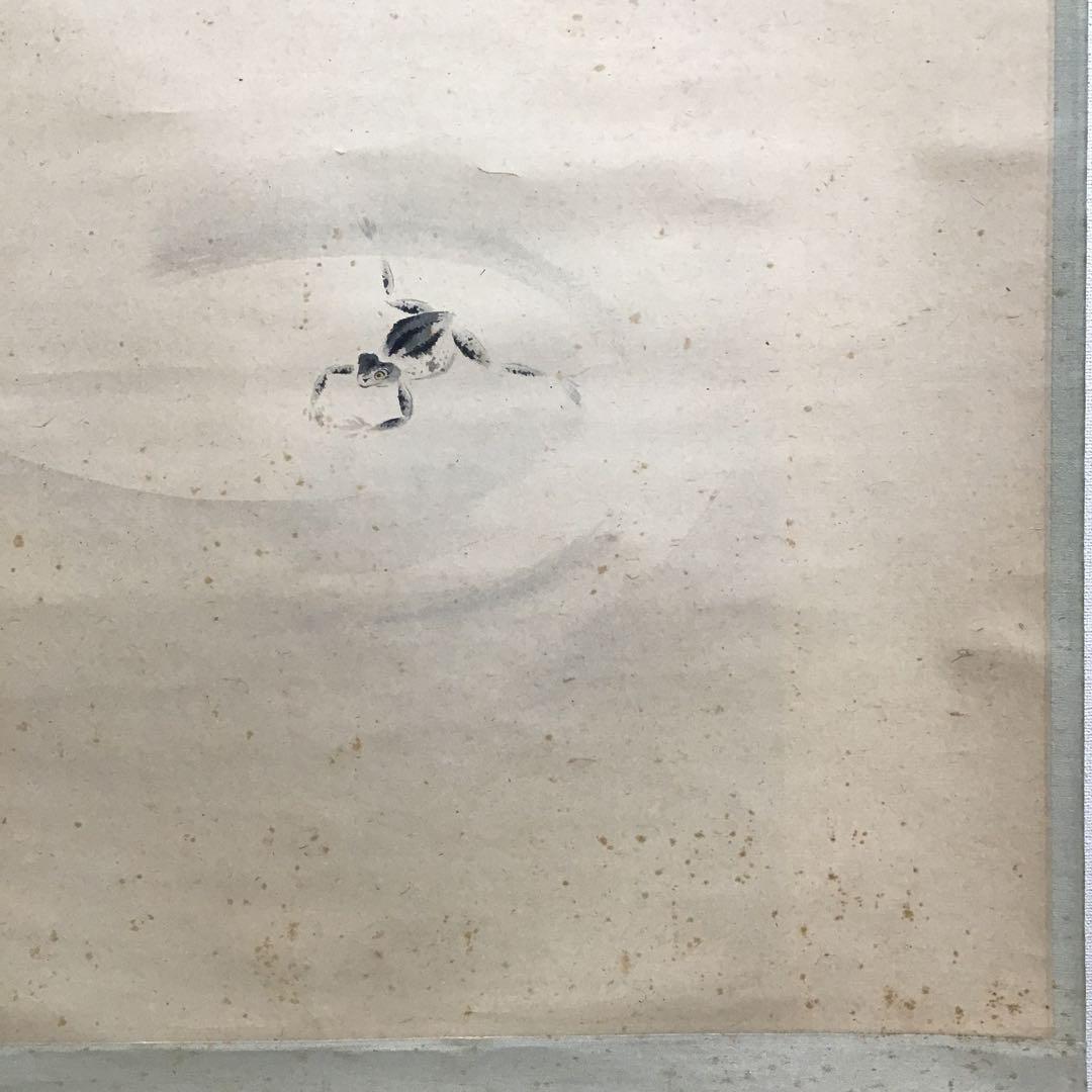 K茶道具 掛軸 「水邊(池蛙)」 双年作 共箱(一部削れ有り) S215KJ K