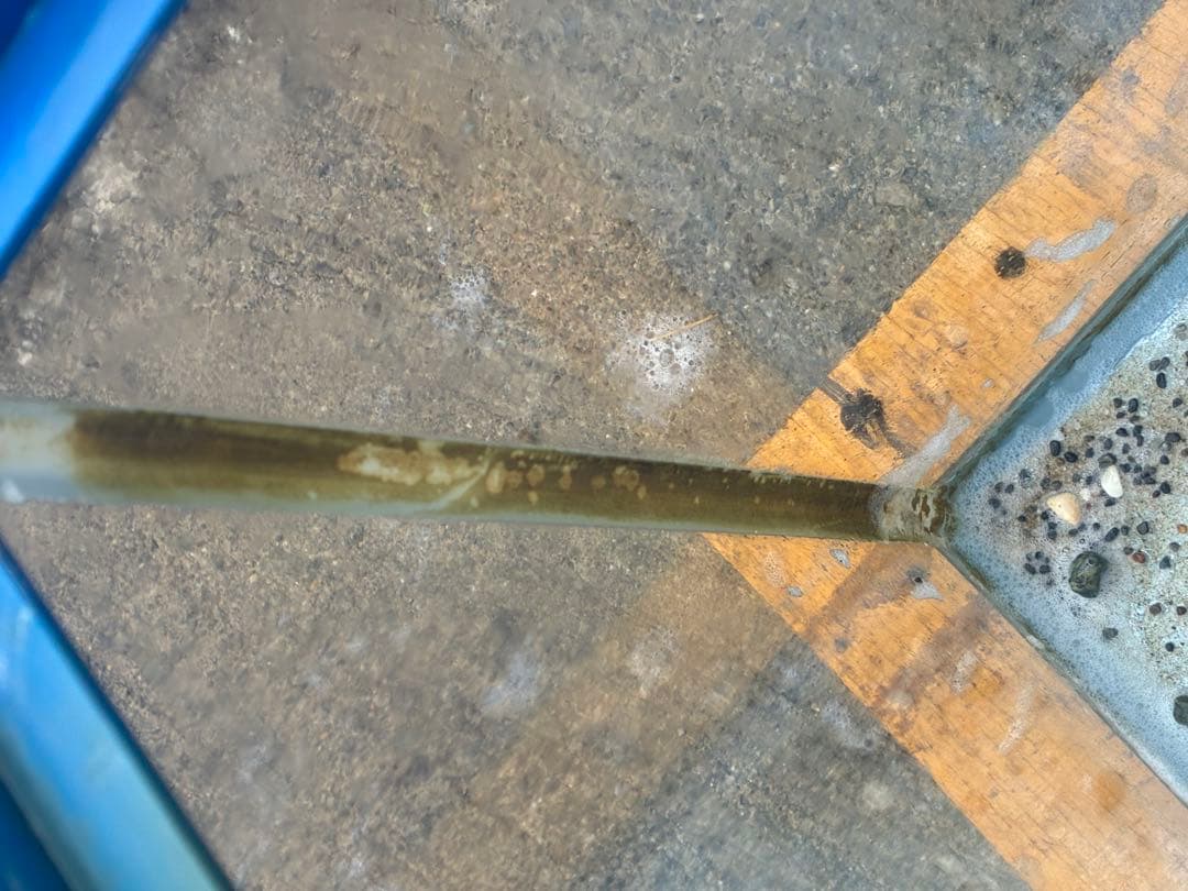 ガラス水槽 サイズ: 750×450×400＝129ℓ