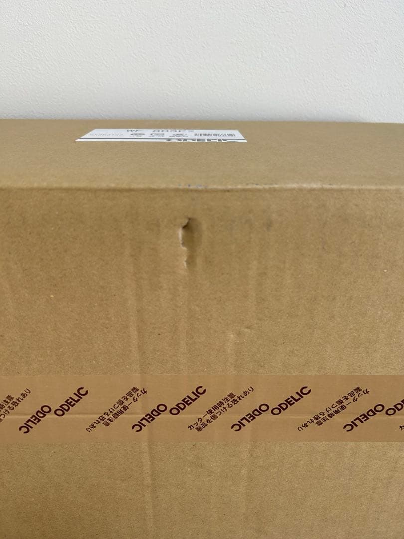 odelic シーリングファン wf803 P2ベージュ