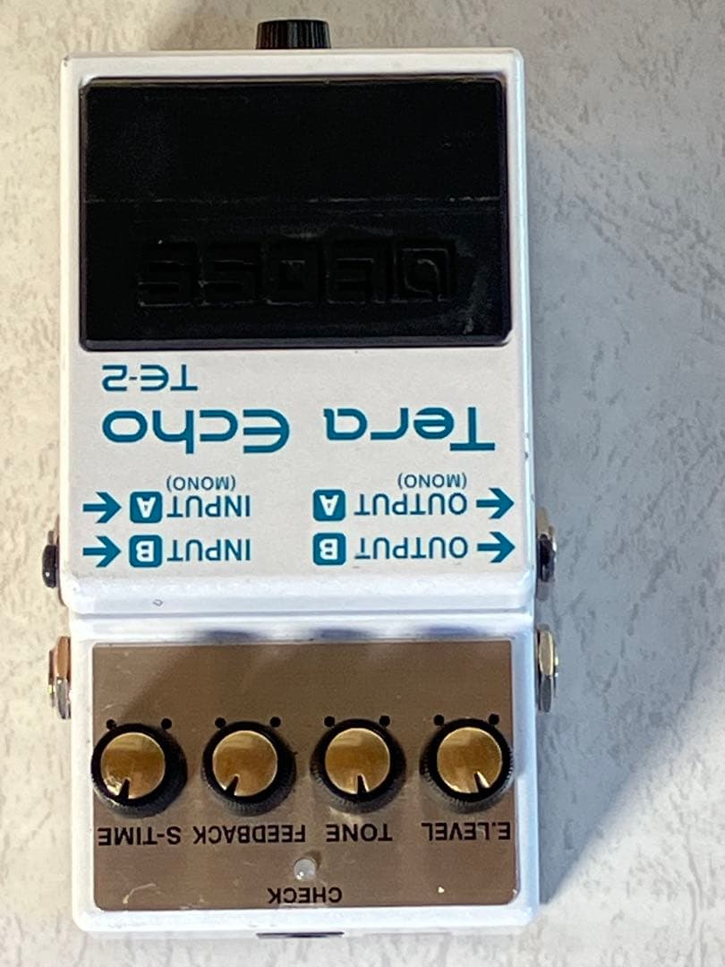 あの・寺内節の必需品テラ・エコーたまらない残響音をお楽しみに