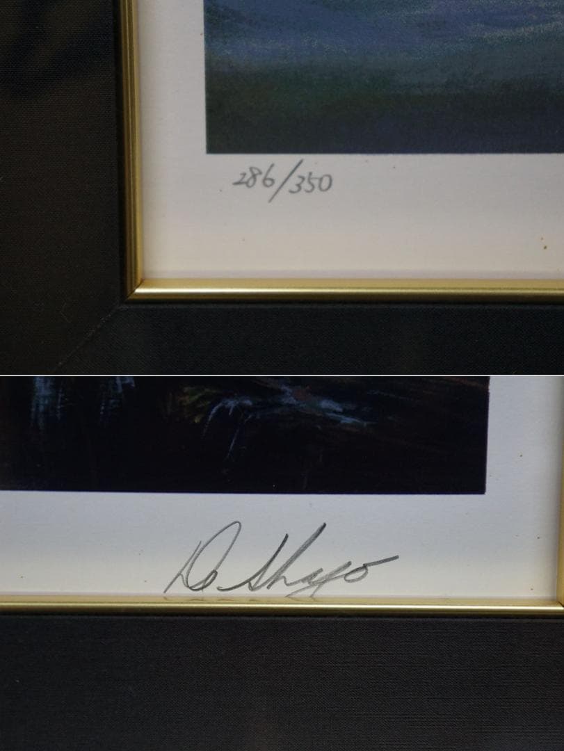 286/350 ウィリアムデシャゾー ハワイアンサンセット 大判シルク