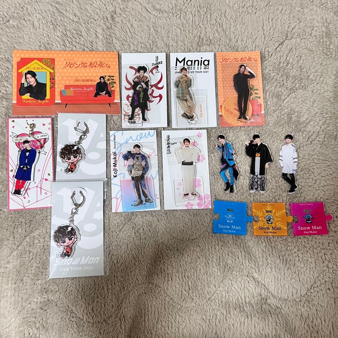 Snow Man向井康二アクスタ10点まとめ売り