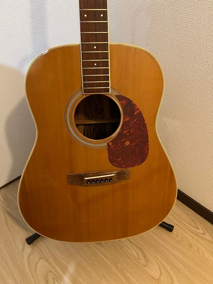 Pearl アコースティックギター ラウンドショルダー