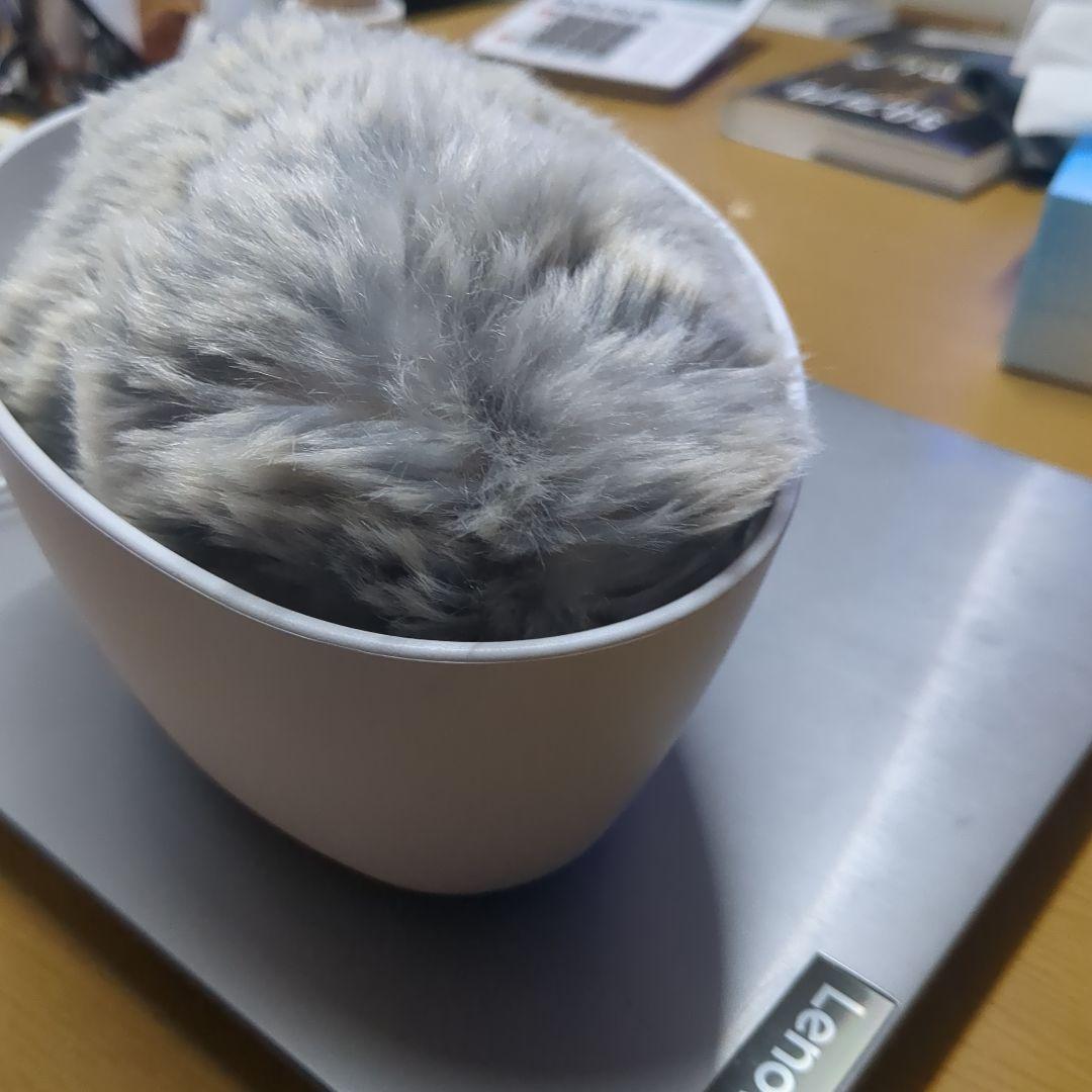 モフリン138日間ペットでした