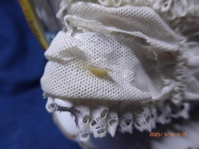 絵のように美しいウィンターヴァイスバッハ　レースドール フィギュリン 難あり