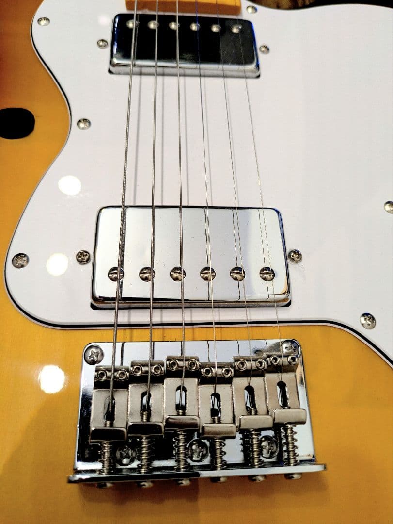 サンバースト　シンライン　テレキャスター　ドナー　DJC-1000S