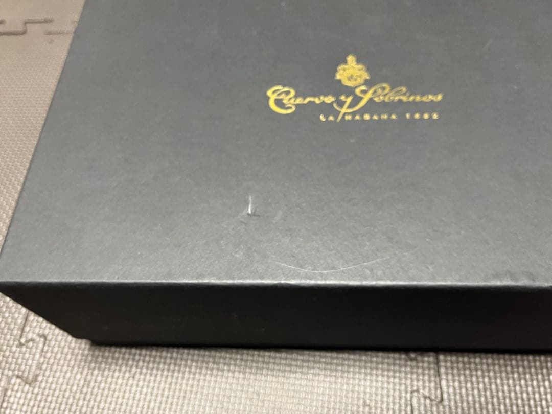 【XYZmen】クエルボ・イ・ソブリノス プロミネンテ 腕時計