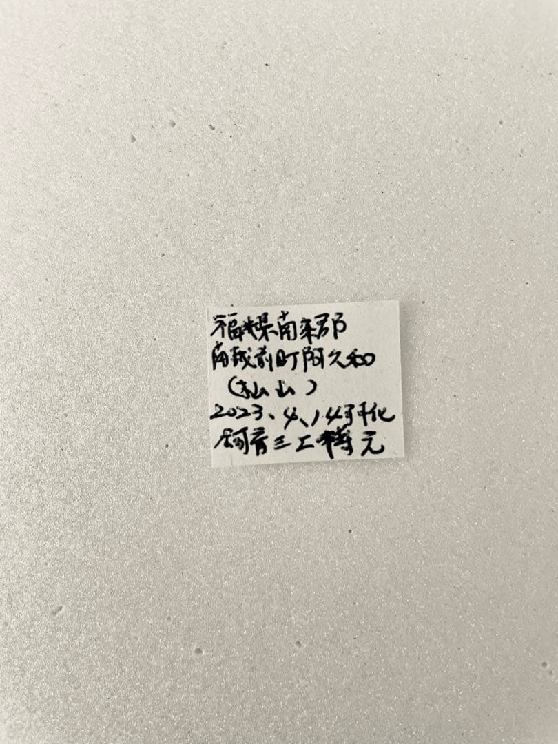 異常型】ギフチョウ（メス、飼育・福島県）