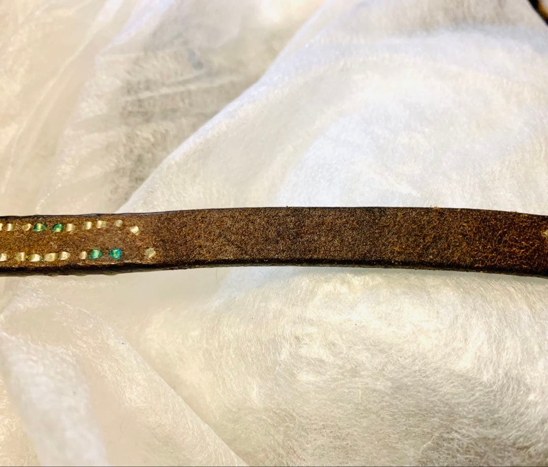 WOLF'S HEAD　ウルフズヘッド