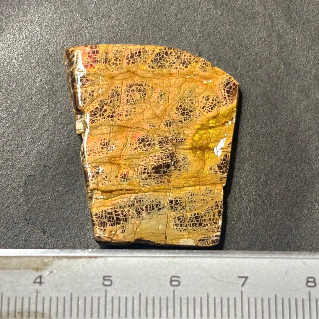 カナダ産 アンモライト 樹脂スタビライズ加工 天然宝石 化石 標本 両面