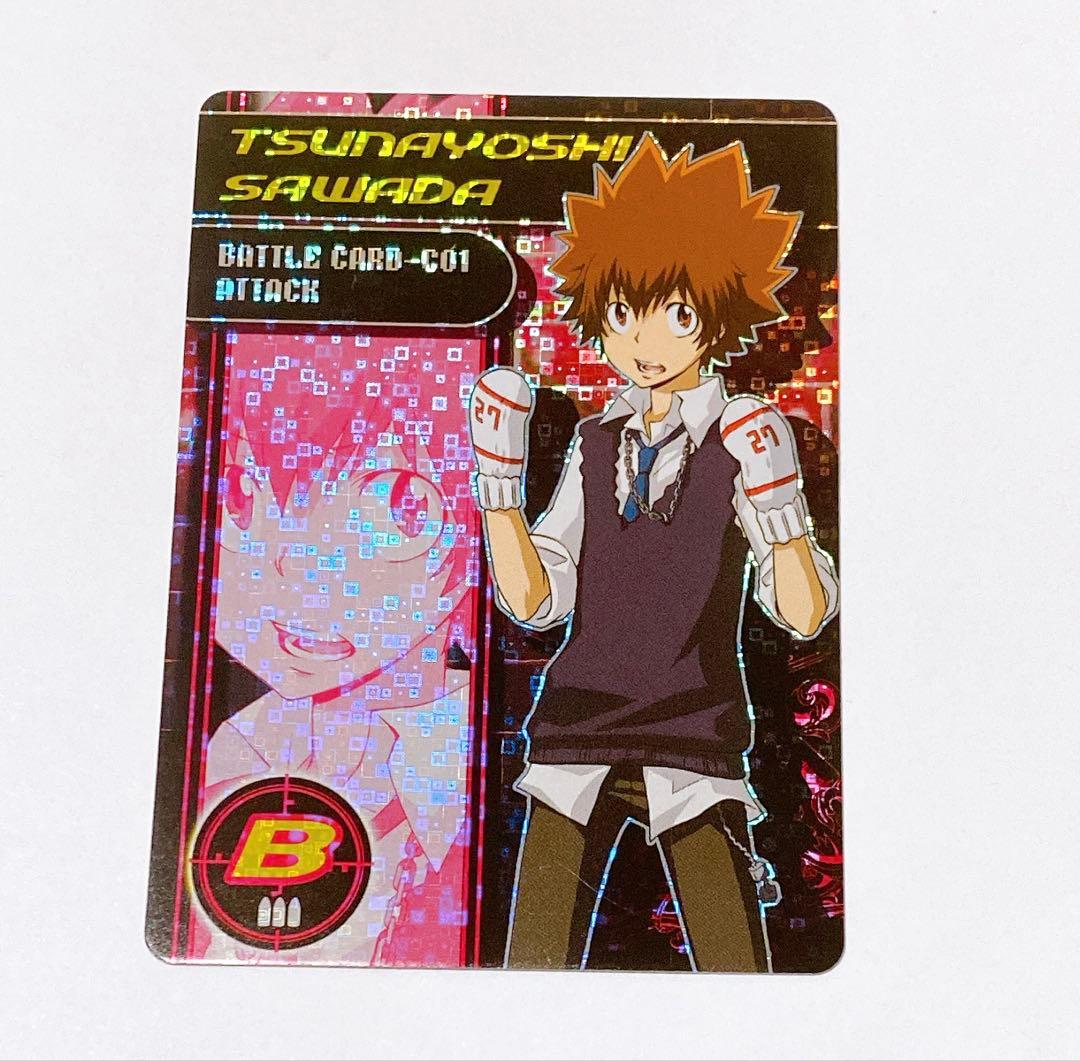 家庭教師ヒットマンREBORN リボーン サザンクロスバトル カード 沢田