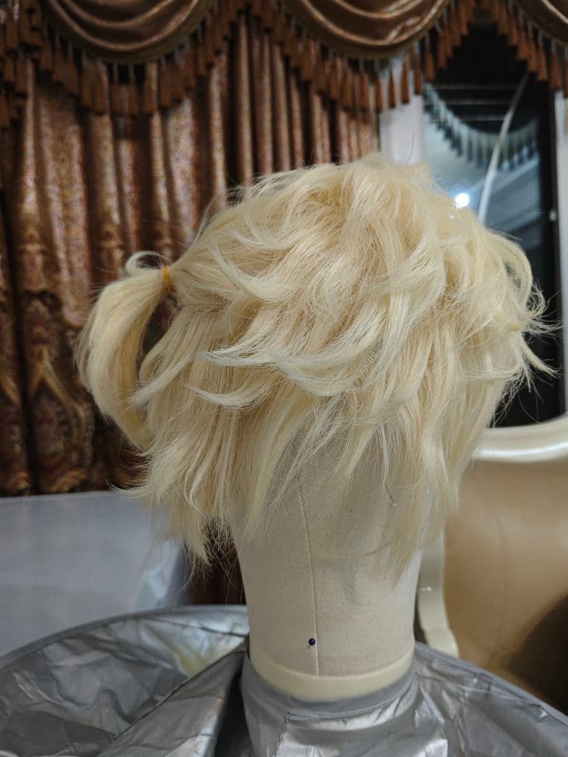 Alien Stage エイリアンステージ ルカ luka コスプレ ウィッグ