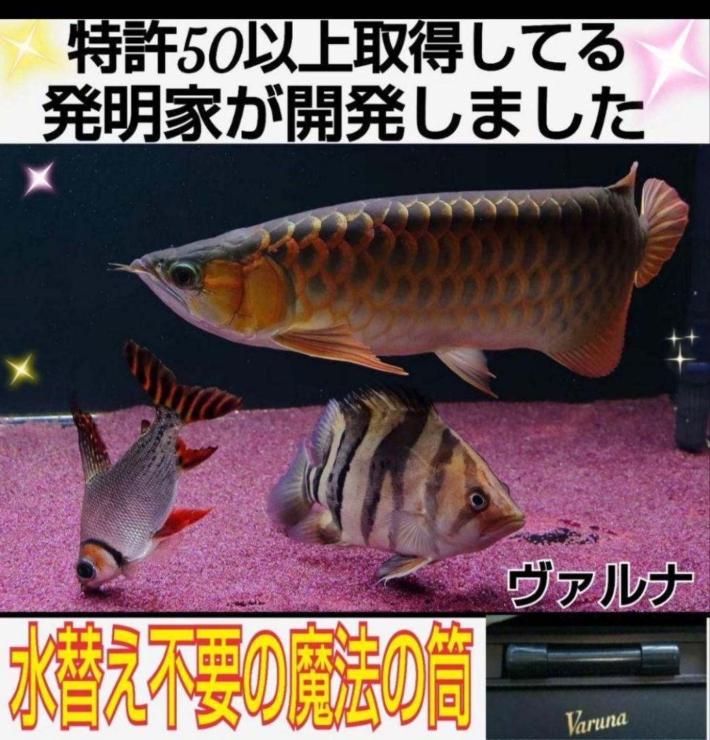 k.rsoccerlove69　ヴァルナ23センチ Centiskorch VMAX #219 Prices | Pokemon Japanese VMAX Climax