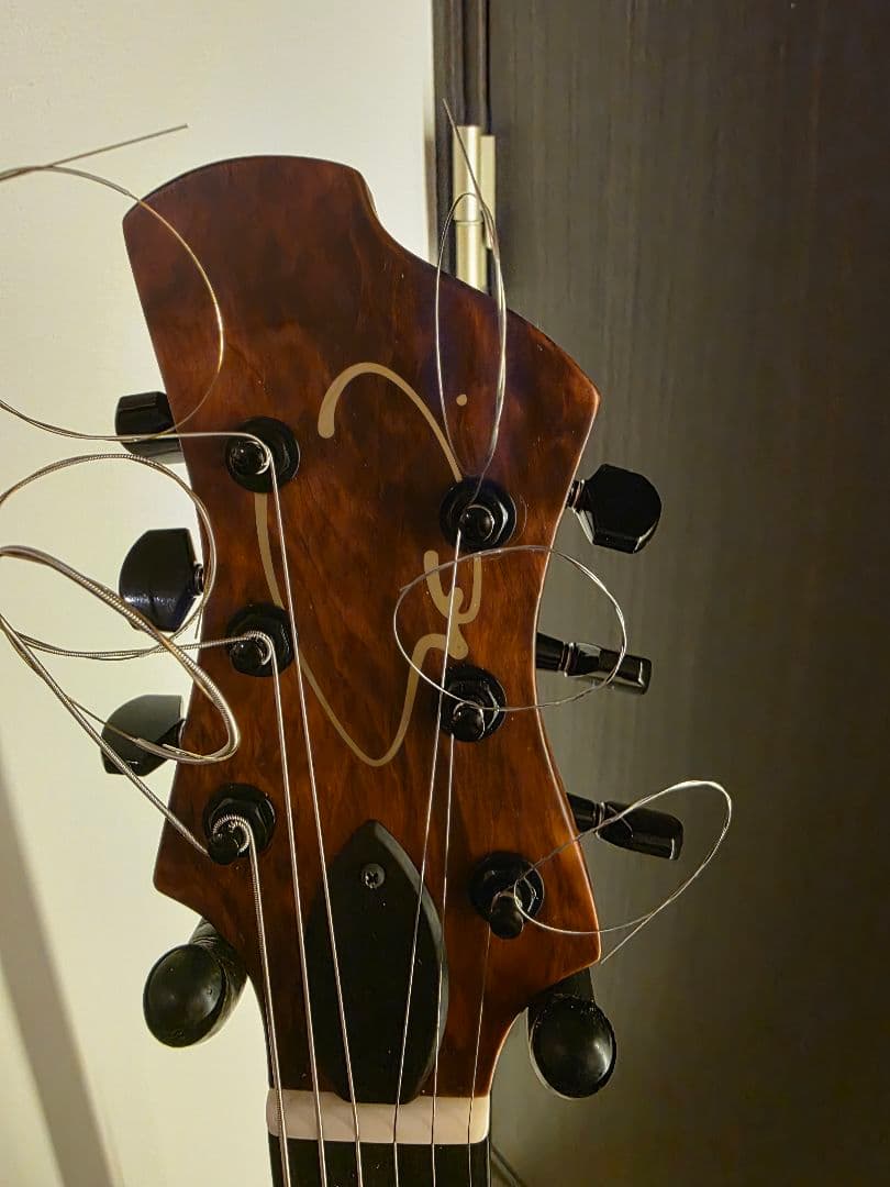 ギター collectera(nishgaki guitar)Faro dual