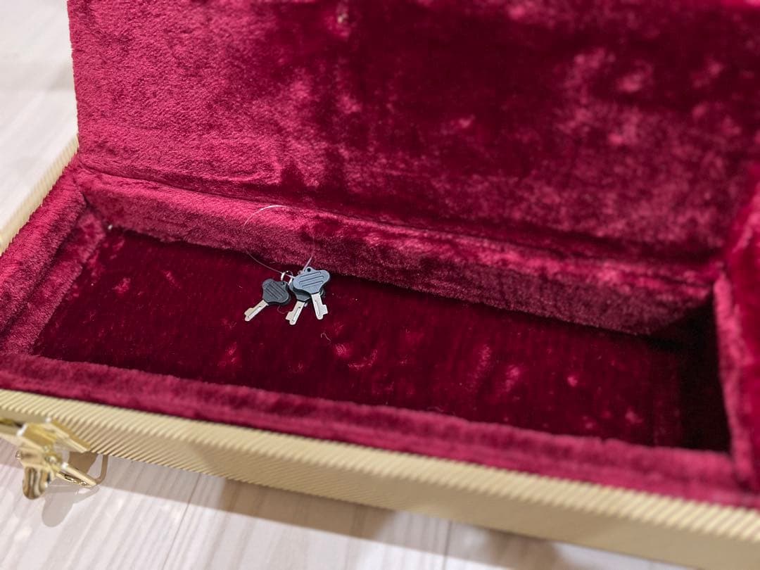 スクワイヤー　テレキャスターデラックス　ハードケース付き