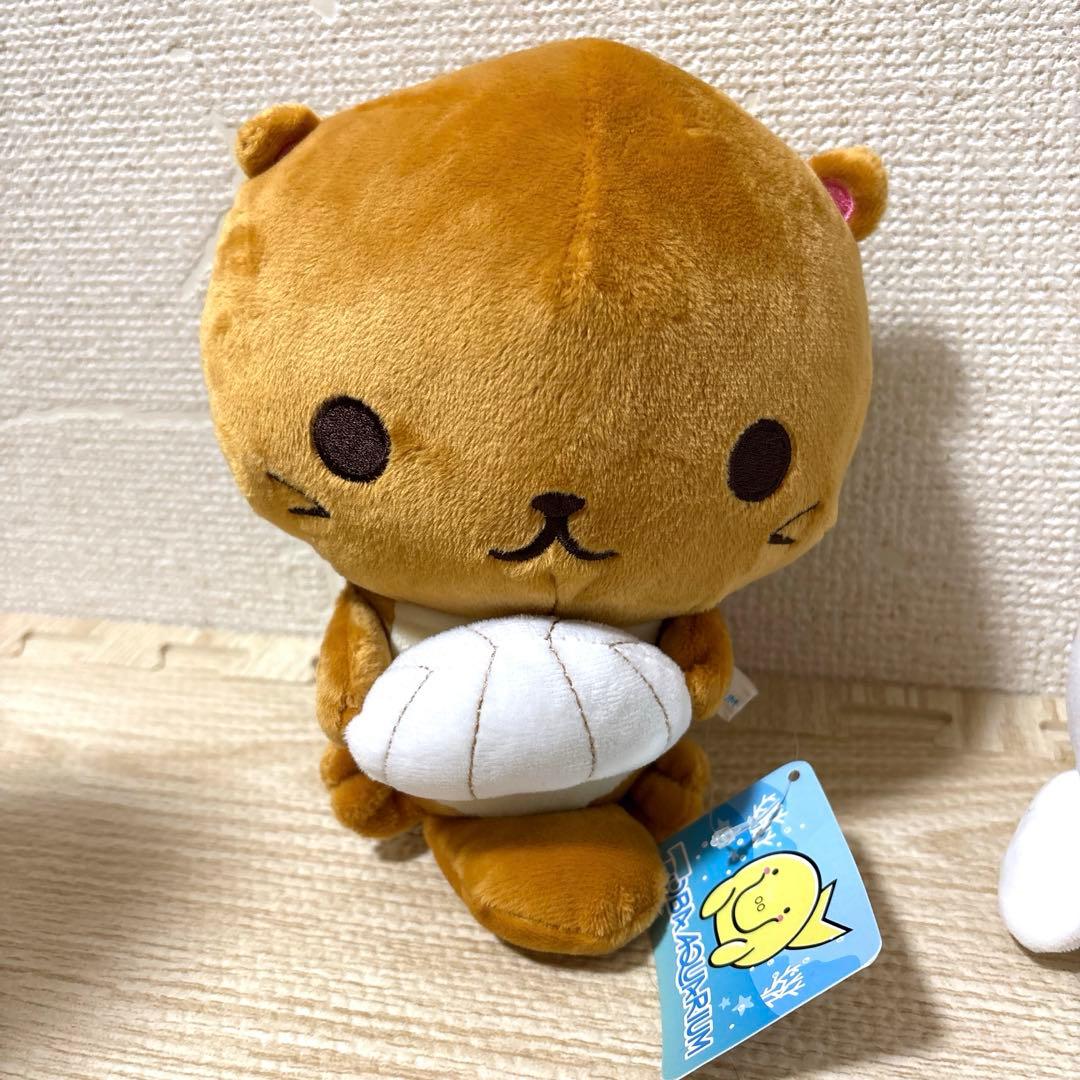 鳥羽水族館 ラッコ あざらし ぬいぐるみ - メルカリ