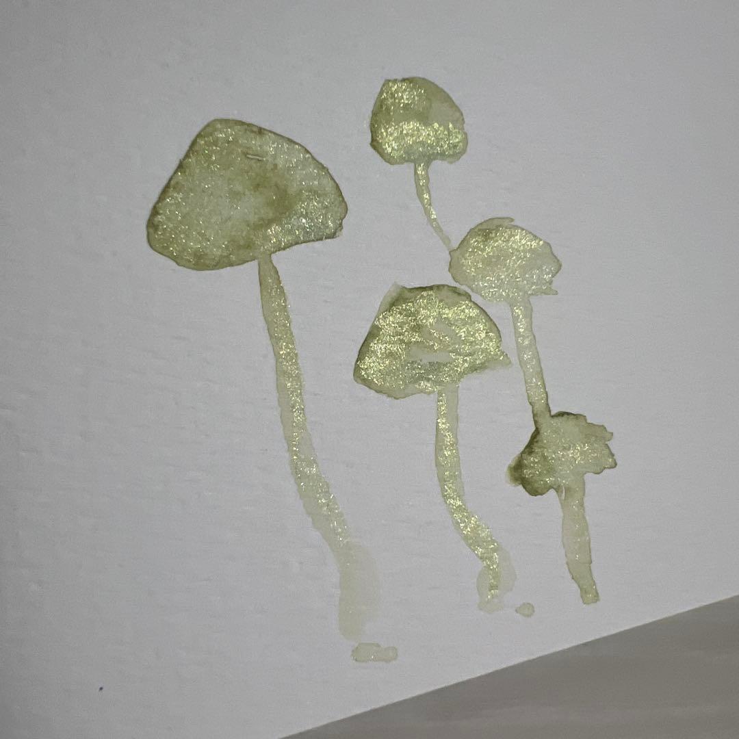 淡い緑色のキノコ 水彩画(原画)