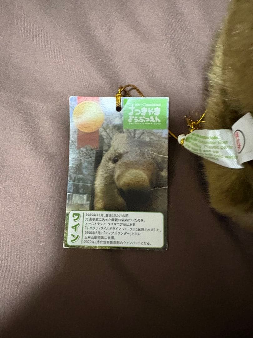 五月山動物園 ウォンバット ぬいぐるみ　タグ付き ワイン フク