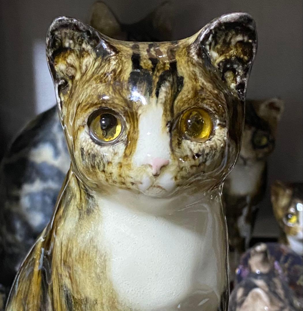 ☘️サイズ「2」☘️ ウィンスタンレイキャット 初期作品と同時期