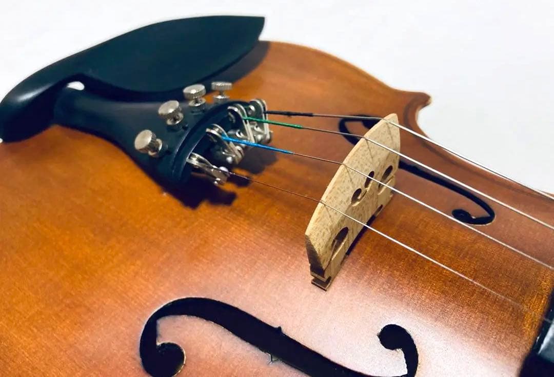 超美品 Hallstatt ハルシュタット V-12 4/4 バイオリンセット