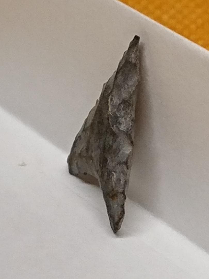 石鏃 矢じり 黒曜石 石器時代 置物 インテリア 工芸品 美術品 A1730