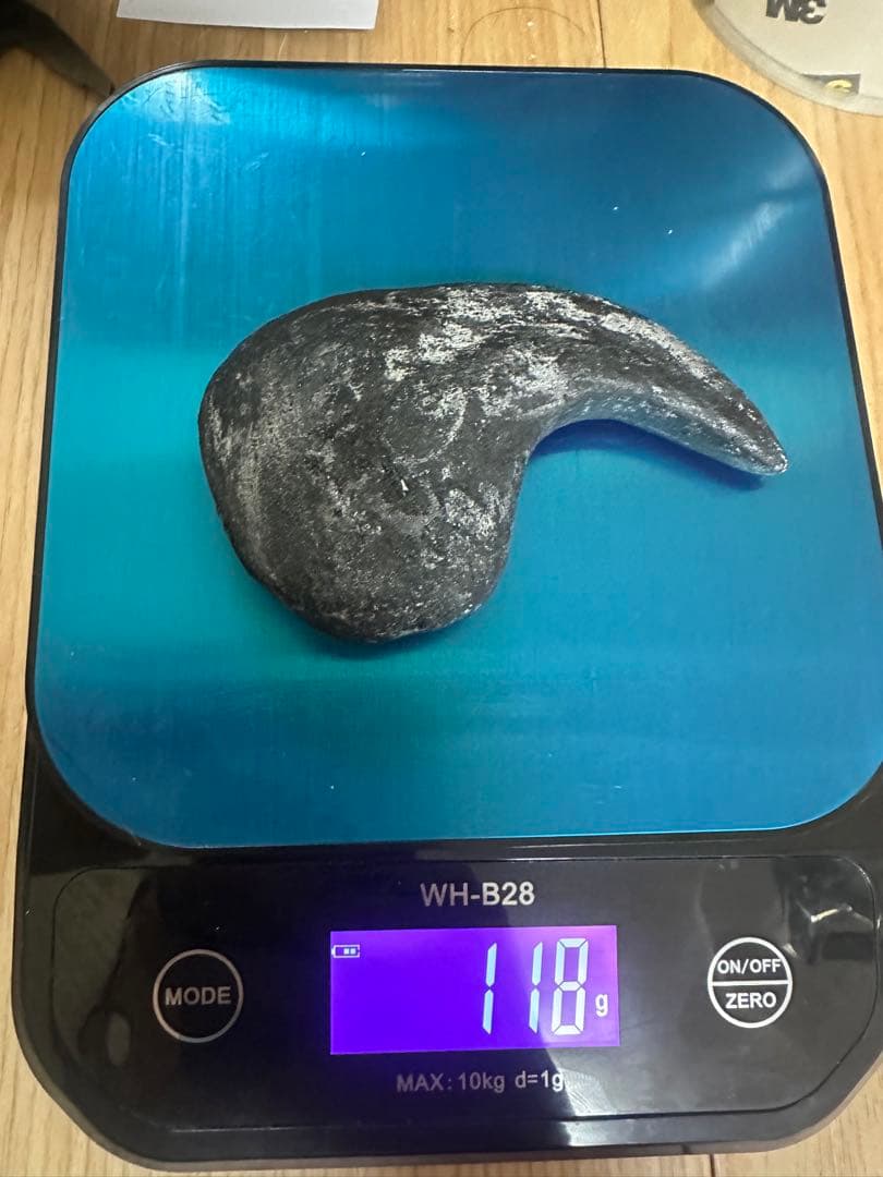 Allosaurus 化石 恐竜 ティラノサウルス カルカロドントサウルス 底値