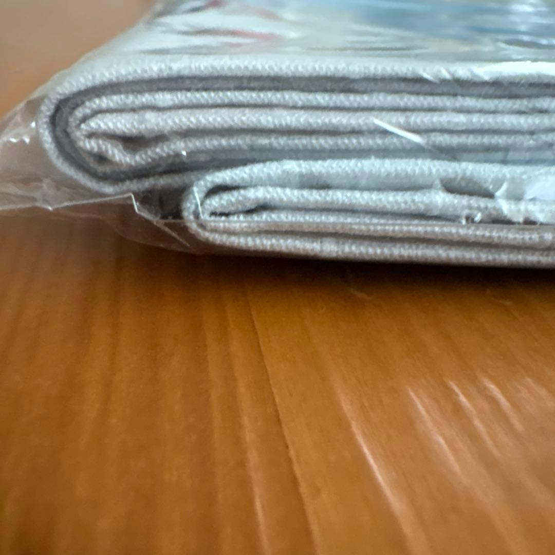 トーベとムーミン展 マルチクロス フライヤーのおまけ付き