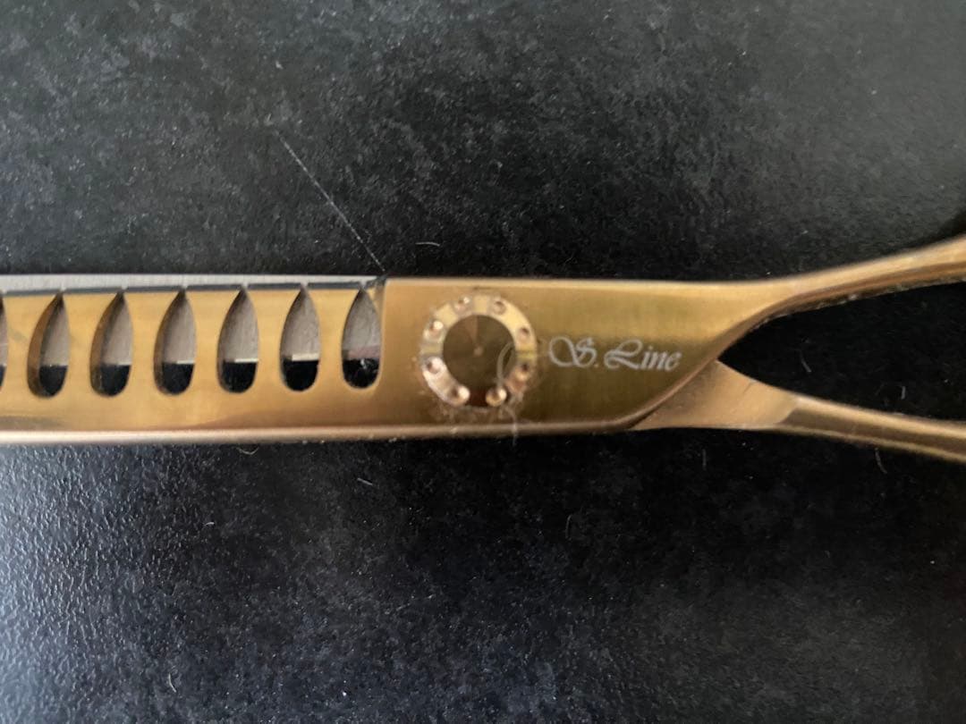 シルバーライン silverline ブレンダー ゴールドパンパン 箱付き