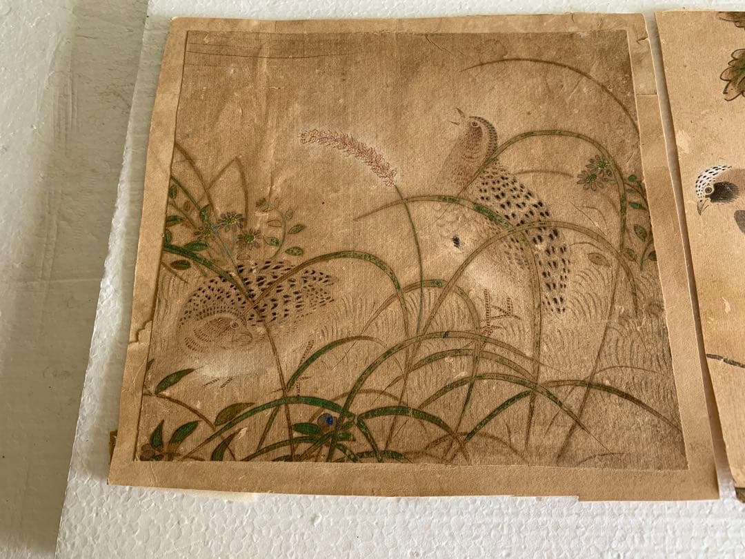 古画 中国 花鳥画 』唐物唐画 2点まとめ 中国古美術 沈