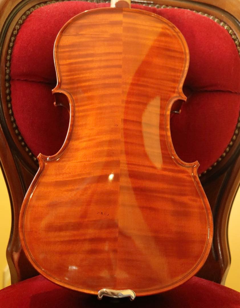 【みみちゃん】ビオラ 15.5 Gliga Gems Anno 2022