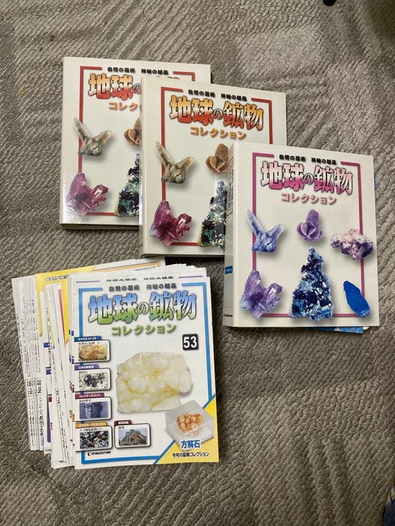 コンゴ産 赤道州 トルクアタ 79mm