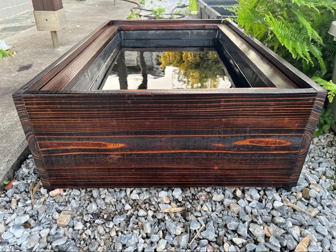 60Lトロ舟と木枠のセット　簾と産卵床のおまけ付き　メダカ　ビオトープ