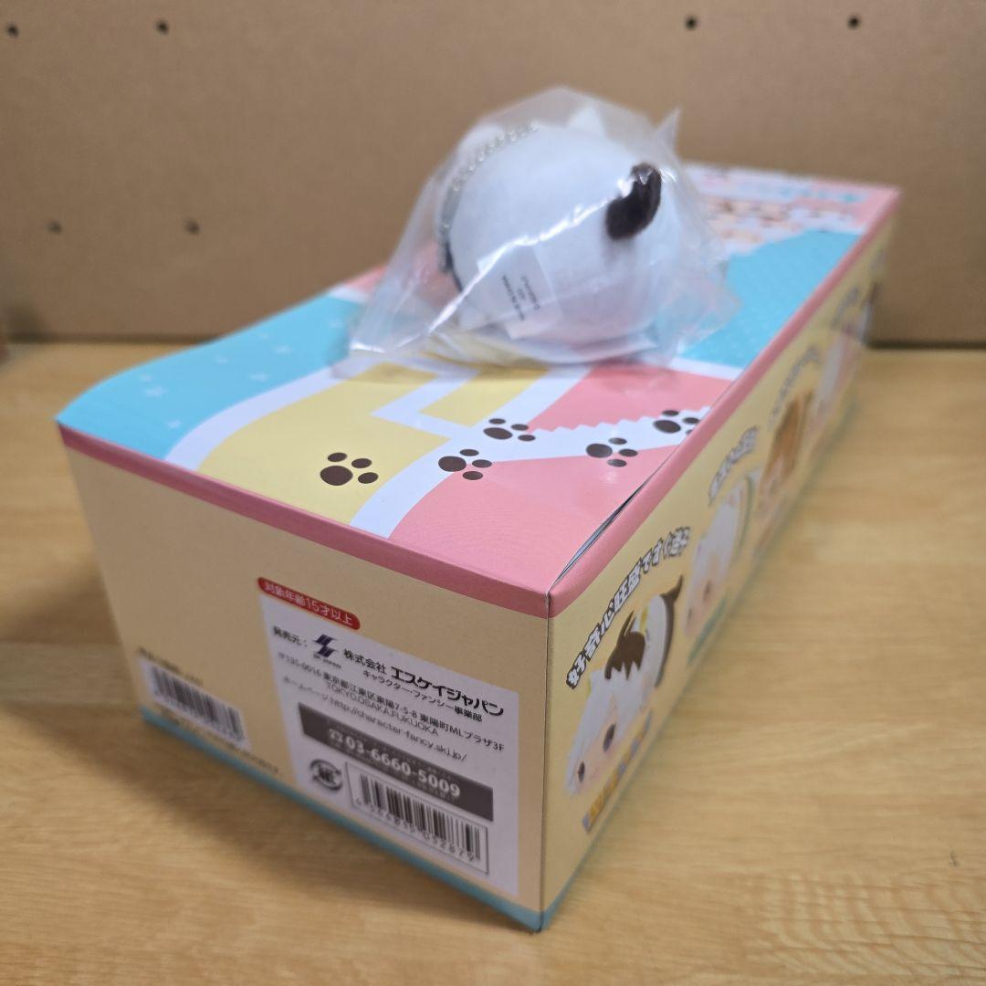 予約特典付き うちタマ?! もちもちマスコットぬいぐるみ ボックスセット