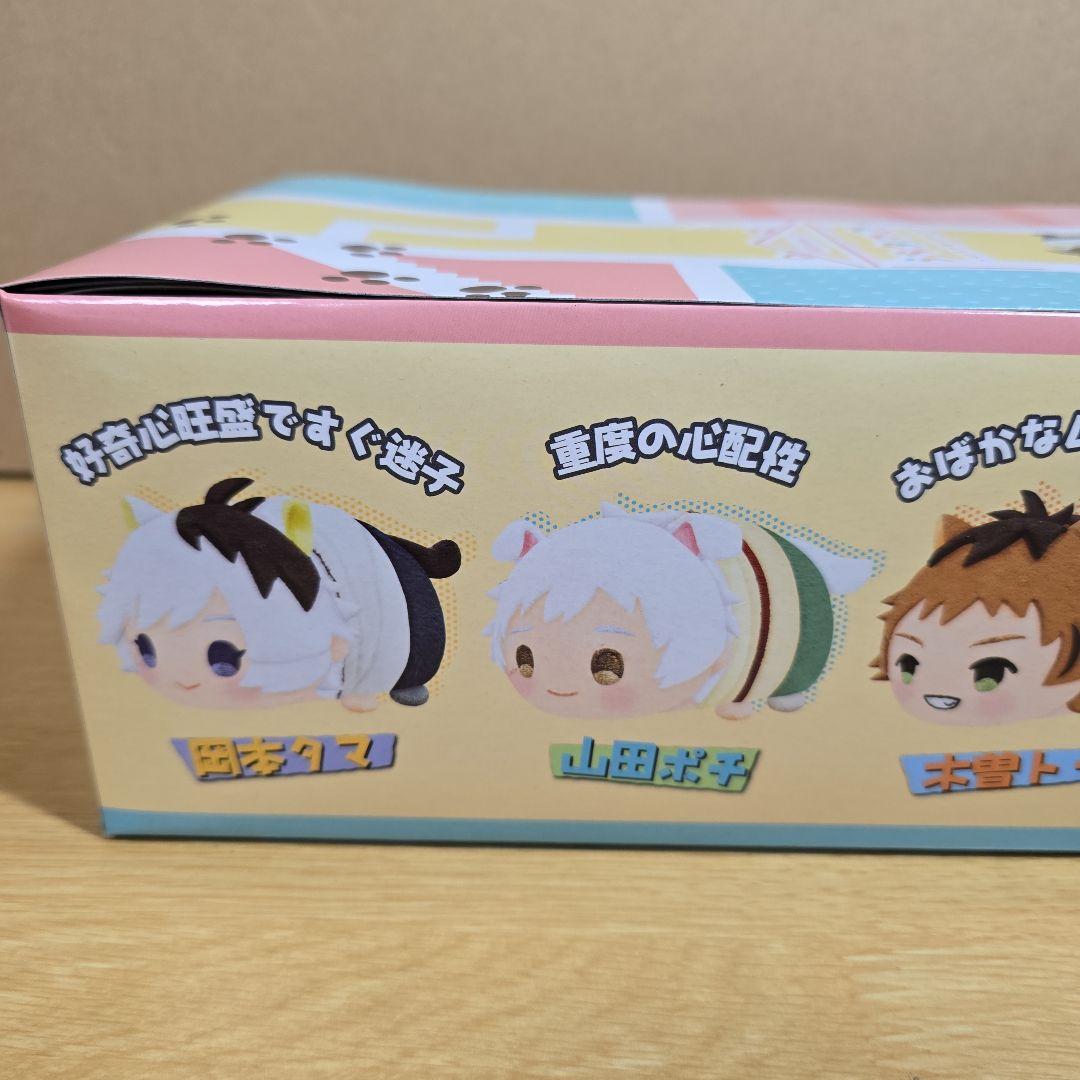 予約特典付き うちタマ?! もちもちマスコットぬいぐるみ ボックスセット