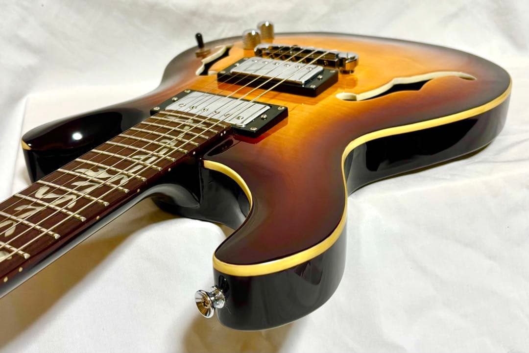 新品弦張替済】GFC セミアコ PRSタイプ Tree of Life - メルカリ