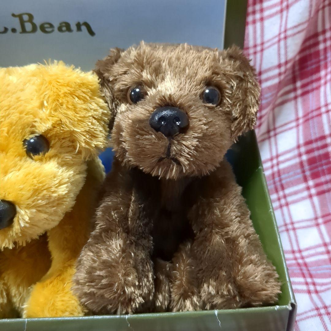 ☆AK☆L.L.Bean Bean's Little Labs 3体セット